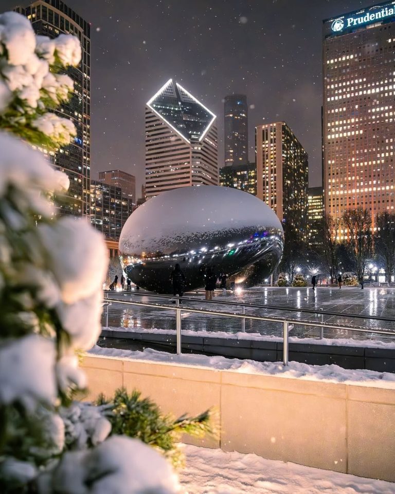 How to Spend a Magical Christmas Day at Eugenie Terrace on the Park in Chicago